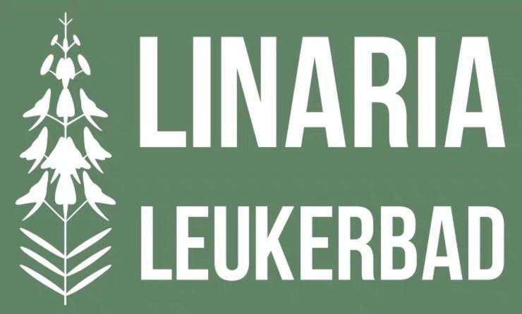 Center, Sauna, View - Haus Linaria Leukerbad Exterior photo
